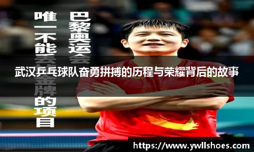 k1体育-十年品牌