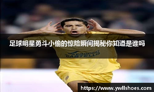 k1体育-十年品牌