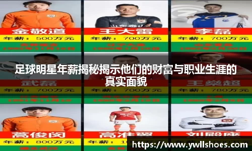 足球明星年薪揭秘揭示他们的财富与职业生涯的真实面貌